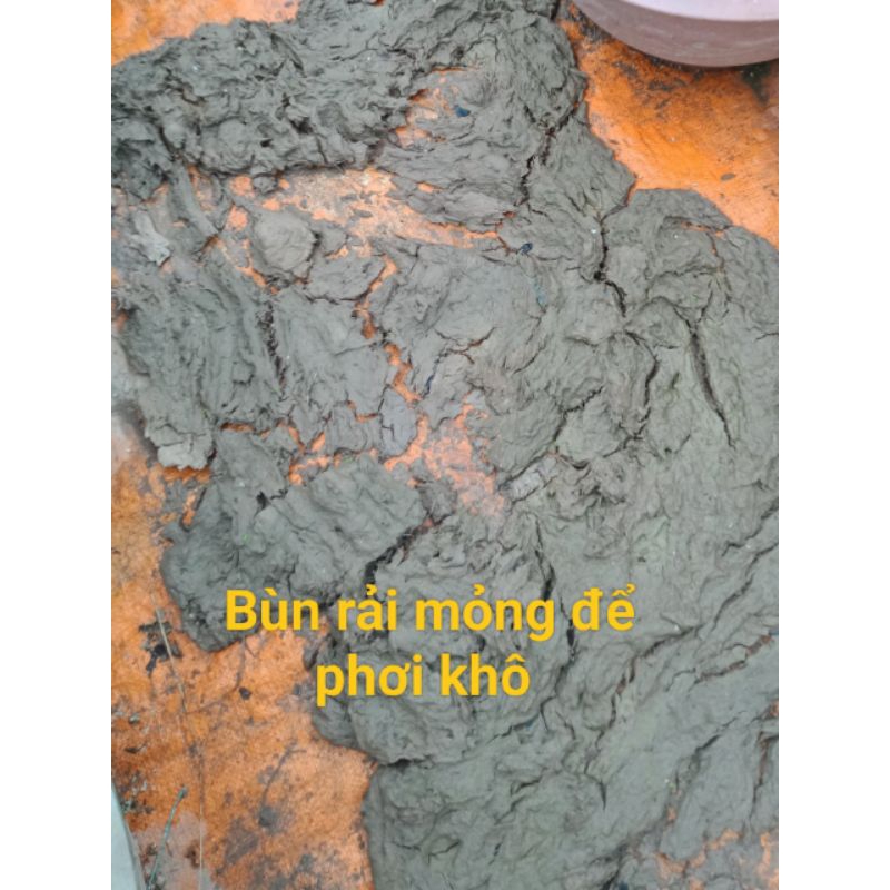 Bùn khô chuyên trồng hoa sen, súng mini