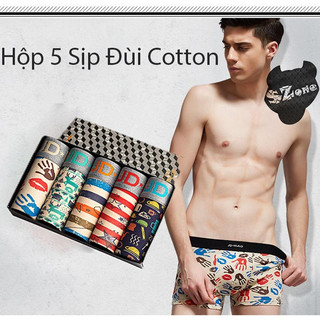{FREESHIP} Hộp combo 5 sịp đùi boxer nam SZone SQB101 Map, sịp đùi nam, sịp đùi boxer nam