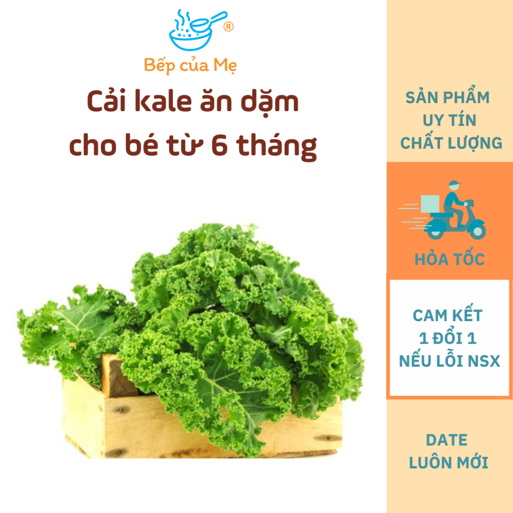 Cải Kale nấu ăn dặm cho bé từ 6 tháng, gói 20g, Shop Của Mẹ