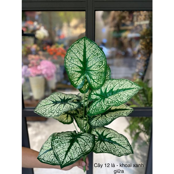 CÂY GIẢ - CÂY 12 LÁ NHIỀU MẪU CAO 65CM