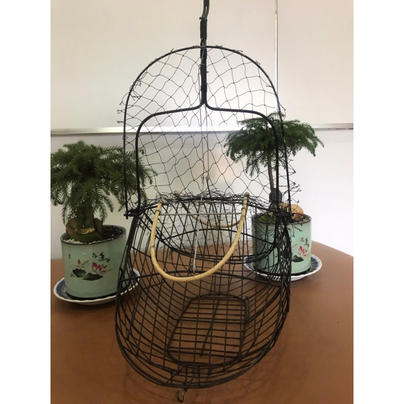 Lồng bẫy chim chào mào