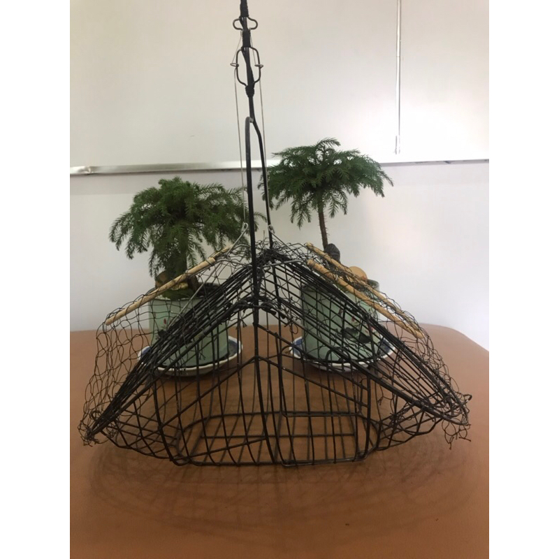 Lồng bẫy chim chào mào