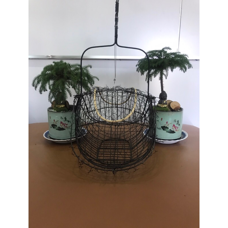 Lồng bẫy chim chào mào