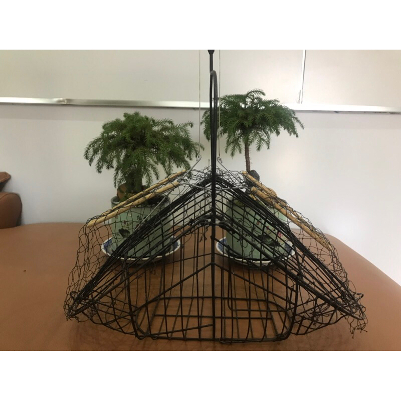 Lồng bẫy chim chào mào