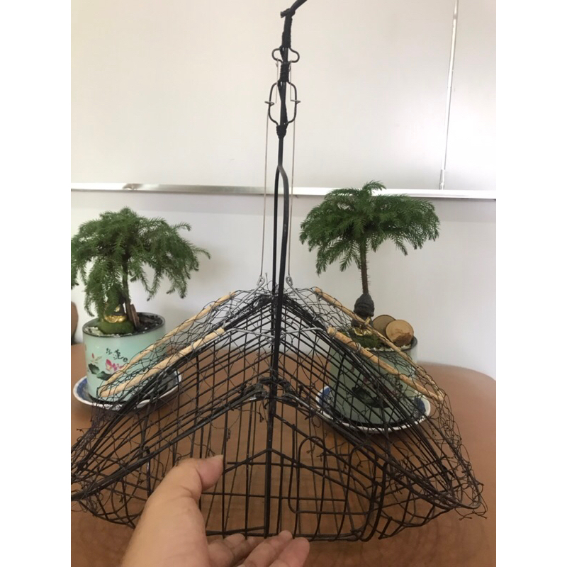 Lồng bẫy chim chào mào