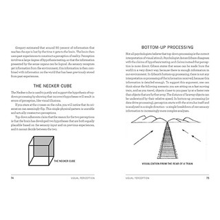Psych 101-By Paul Kleinman