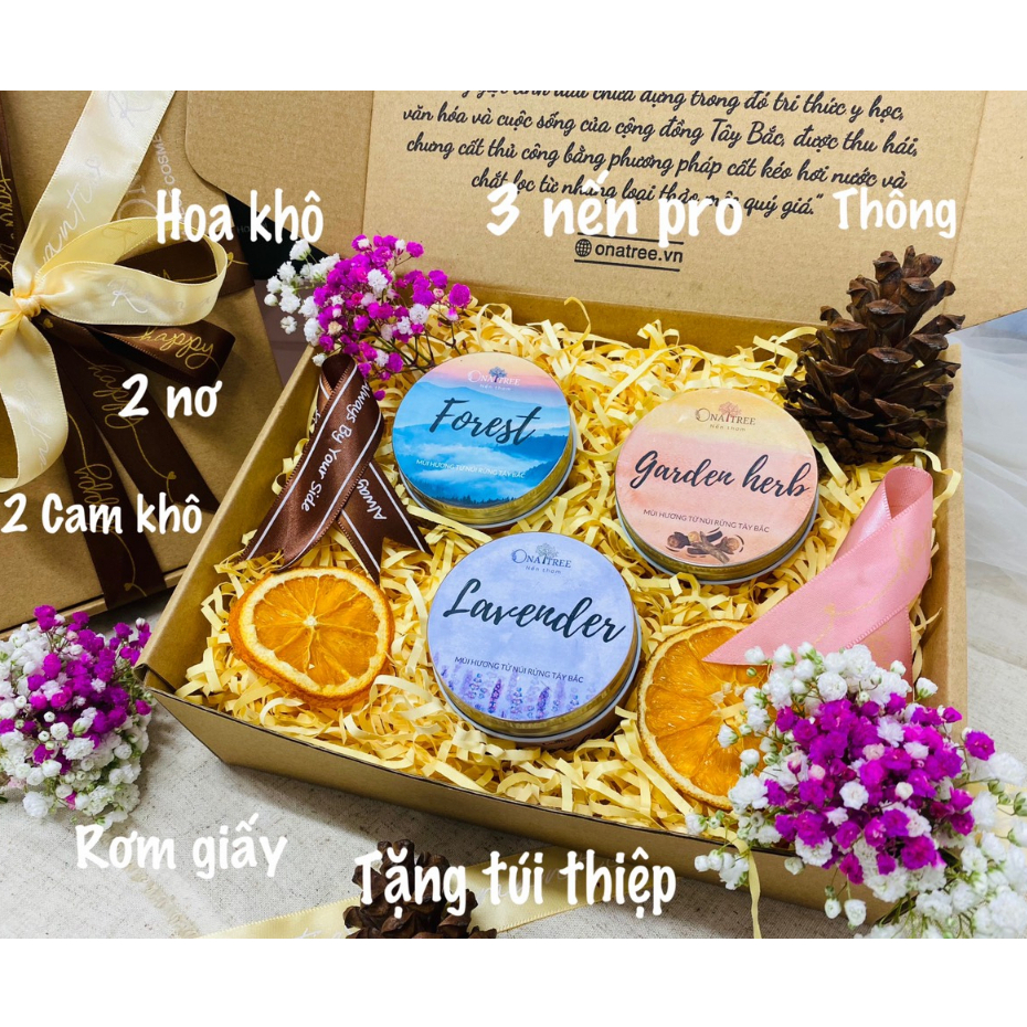 Quà Tặng Sinh Nhật Nến Thơm OnaTree Gồm 3 Nến Thơm Size 50g/70g