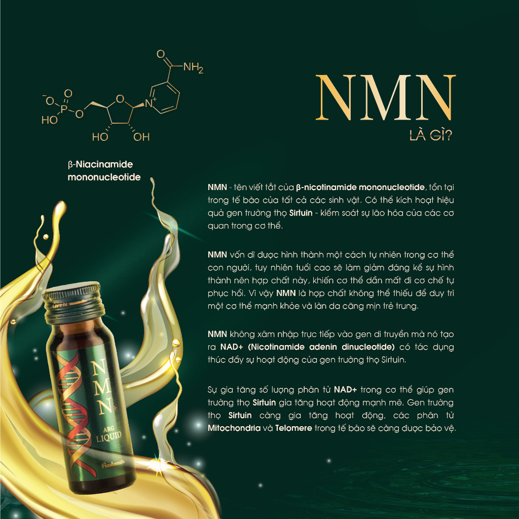 Thức uống làm đẹp và hỗ trợ sức khoẻ Peauhonnête NMN+ ARG LIQUID 12000 - Nhật Bản - Hộp 10 lọ - Hàng chính hãng
