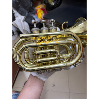 Kèn trumpet pocket - trumpet lùn YAHAMA