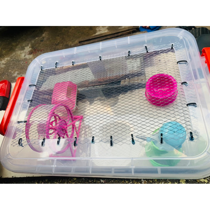 Combo thùng nuôi hamster