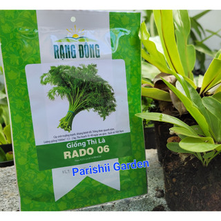 Hạt giống thì là rado 06