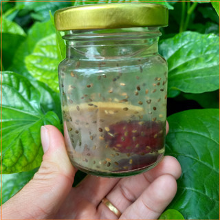 Hũ thuỷ tinh chưng yến 70ml