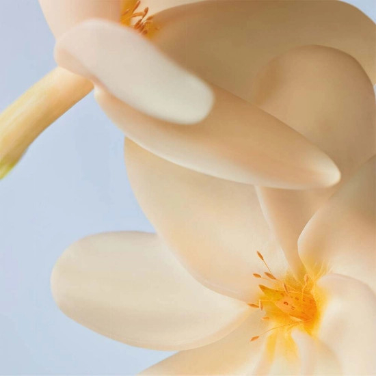 Kem dưỡng tay Yves Rocher Pháp làm mềm da hương thơm nước hoa trái cây Sale 50ml phiên bản giới hạn limited