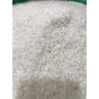 [10kg] [HOẢ TỐC] Gạo thái kiến