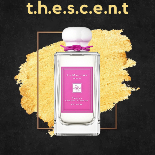 ᵗ.ʰ.ᵉ.ˢ.ᶜ.ᵉ.ⁿ.ᵗ - Nước hoa Jo Malone London Cherry Blossom 10ml ᵗ.ʰ.ᵉ.ˢ.ᶜ.ᵉ.ⁿ.ᵗ