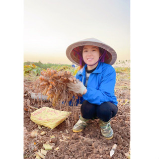 Tinh bột nghệ đỏ Hưng Yên Điềm Kim