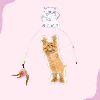 Cần câu mèo dẻo