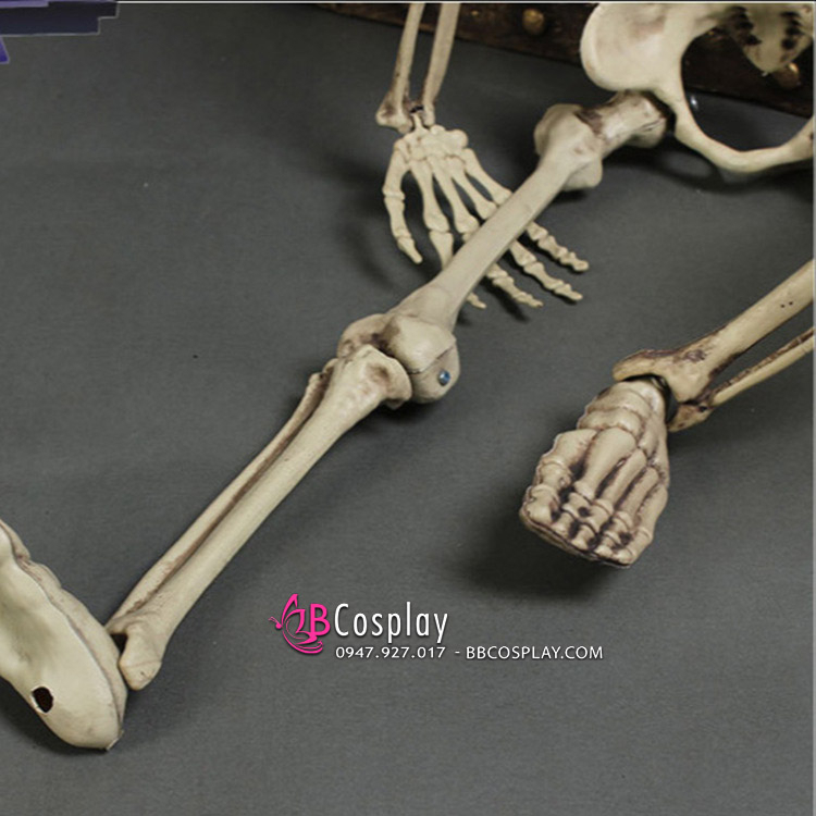 Mô Hình Bộ Xương Người Cao 170Cm Dùng Trang Trí - 15114