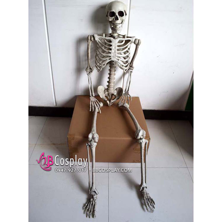 Mô Hình Bộ Xương Người Cao 170Cm Dùng Trang Trí - 15114