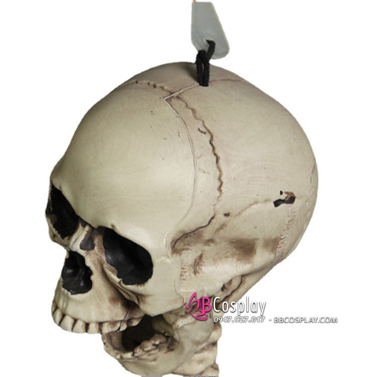 Mô Hình Bộ Xương Người Cao 170Cm Dùng Trang Trí - 15114