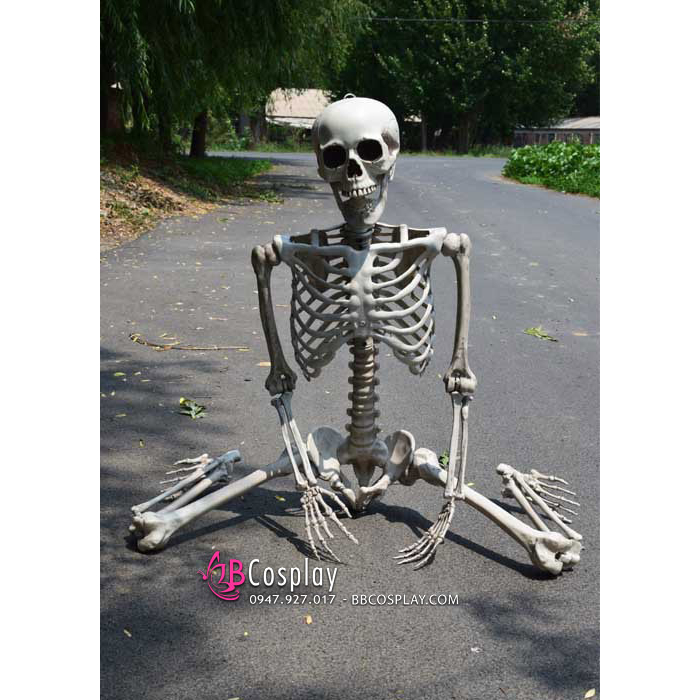 Mô Hình Bộ Xương Người Cao 170Cm Dùng Trang Trí - 15114