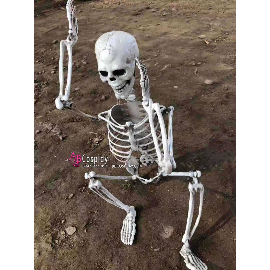 Mô Hình Bộ Xương Người Cao 170Cm Dùng Trang Trí - 15114