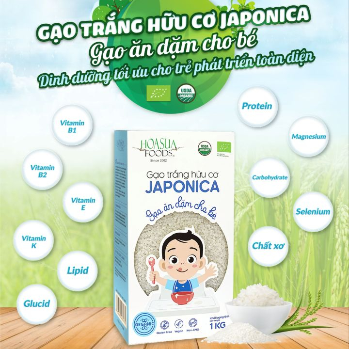Gạo trắng hữu cơ Japonica Hoa Sữa 1kg | BigBuy360 - bigbuy360.vn