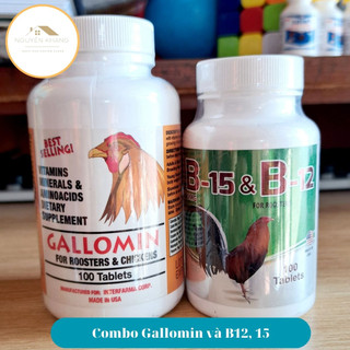 Gallomin, B12 & B15 thuốc gà đá tăng bo tăng cơ nhanh cho gà chọi gà đá gà tre hủ 100 viên
