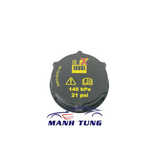 Nắp bình nước phụ xe ford ranger , mazda bt50 2014 - 2020 - dg938101aa - 3m5h8100ad
