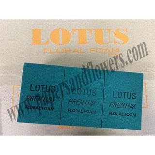 [CHÍNH HÃNG] Xốp cắm hoa tươi Lotus [1thùng*20 viên]