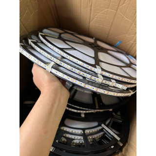 Led 120 mắt 12v - cuộn to 50m
