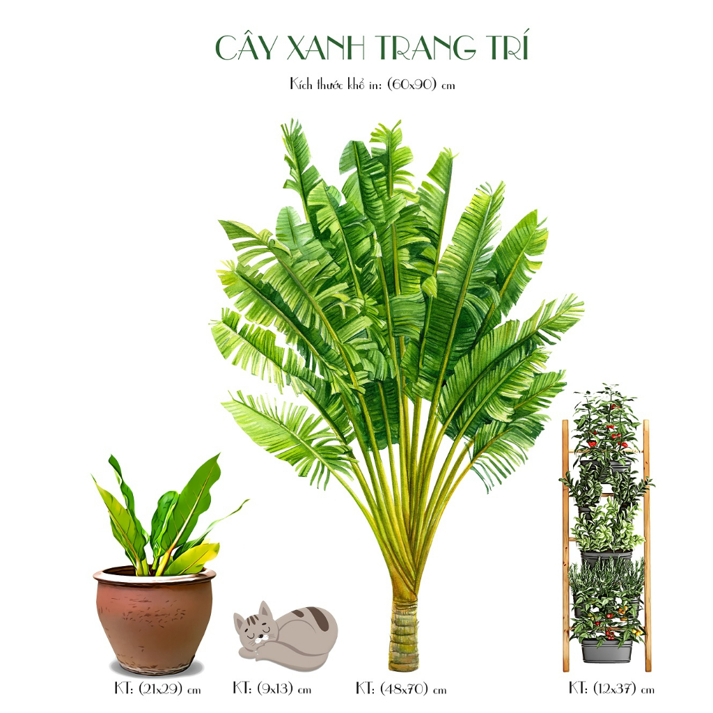 Decal dán tường trang trí CÂY XANH TRANG TRÍ (CÁILU) - Decal24h - Trang trí nhà cửa