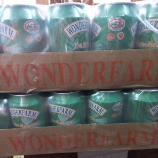  Nước trà bí đao Wonderfarm 310ml*24 lon 