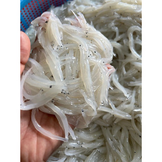 Cá Ngần tươi