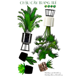 Decal dán tường trang trí cây xanh trang trí - decal24h - trang trí nhà cửa