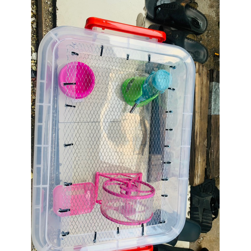 Combo thùng nuôi hamster