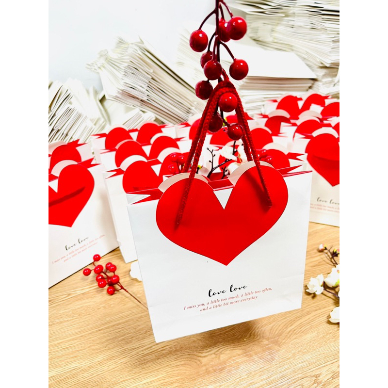 Combo 5 Túi trái tim 18x18x5cm