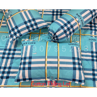 BỘ DRAP 4 MÓN VẢI COTTON THẮNG LỢI CHUẨN LOGO CTY 100% (Size M8x2M) chat chọn mẫu
