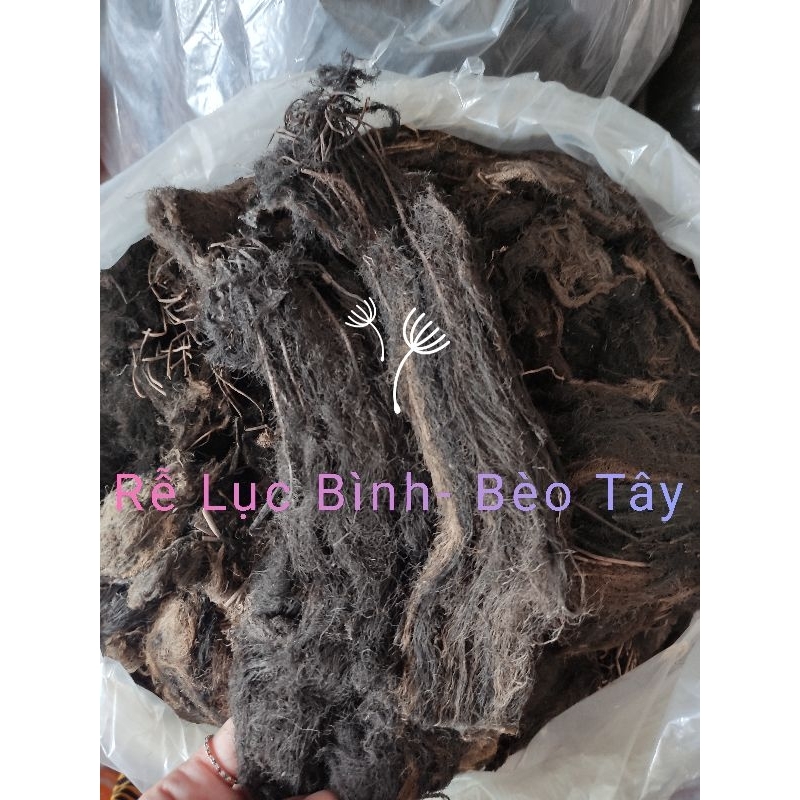 1kg Rễ Lục Bình - Bèo Tây chiết cành, giá thể,...vv