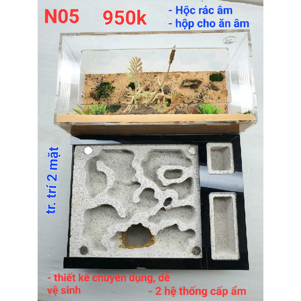 Hộp nuôi kiến - N05- Ant farm - Formicarium - Hộp nuôi kiến - Chuồng nuôi kiến - Tank kiến - Nhà cho kiến