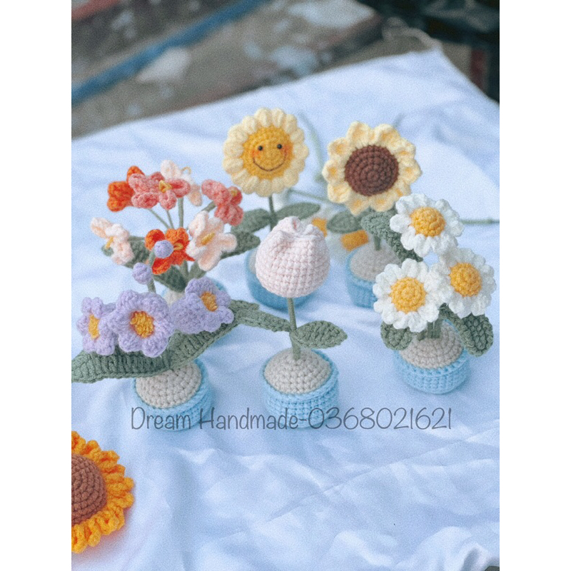 Chậu Hoa Để Bàn Dream Handmade ( Ghi lời chúc theo yêu cầu, ib lời chúc bạn muốn ghi cho shop nhé)