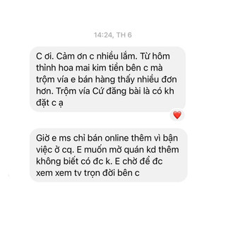 Hoa mai kim tiền (loại đặc biệt - chỉ số năng lượng cao)