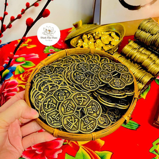 Hoa mai kim tiền (loại đặc biệt - chỉ số năng lượng cao)