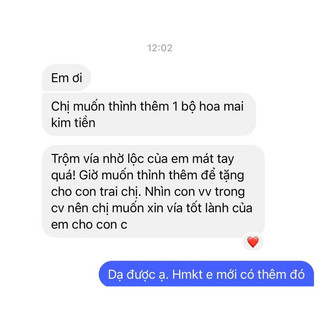Hoa mai kim tiền (loại đặc biệt - chỉ số năng lượng cao)