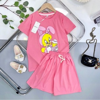 Bộ bé gái cộc tay cotton mịn co giãn size đại 25-40kg