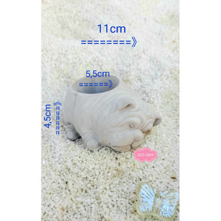 Chậu chó mặt xệ nằm nghiêng