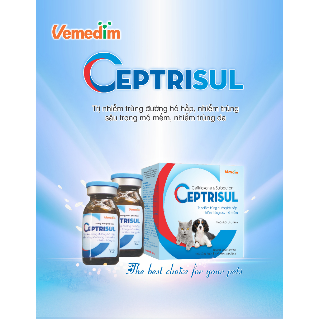 Ceptrisul - Khống chế nhiễm trùng đường hô hấp, nhiễm trùng sâu trong mô mềm, nhiễm trùng da - cặp 10ml