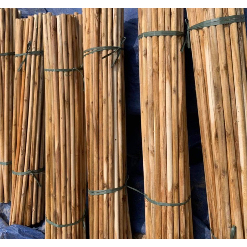Combo 30 cọc gỗ tự nhiên làm dàn mướp, giàn hoa, giàn cây leo