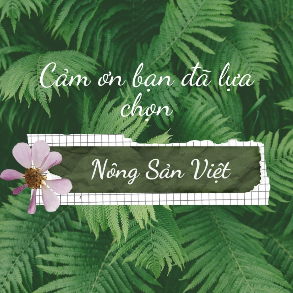 Bánh trang phơi sương Bon Bon  xâu vò sate tắc bánh tráng xâu vò Tây Ninh - 04100259