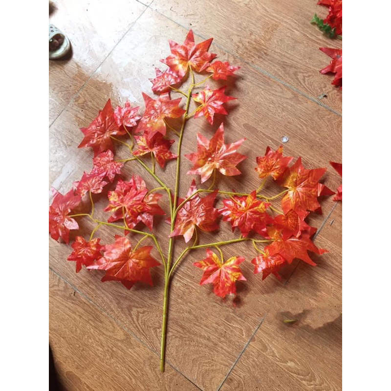 Combo 12 cành Lá Phong đỏ 🍁